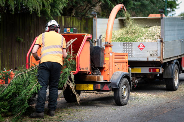 How Our Tree Care Process Works  in  Coosada, AL