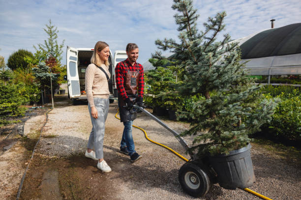 Professional Tree Services in Coosada, AL